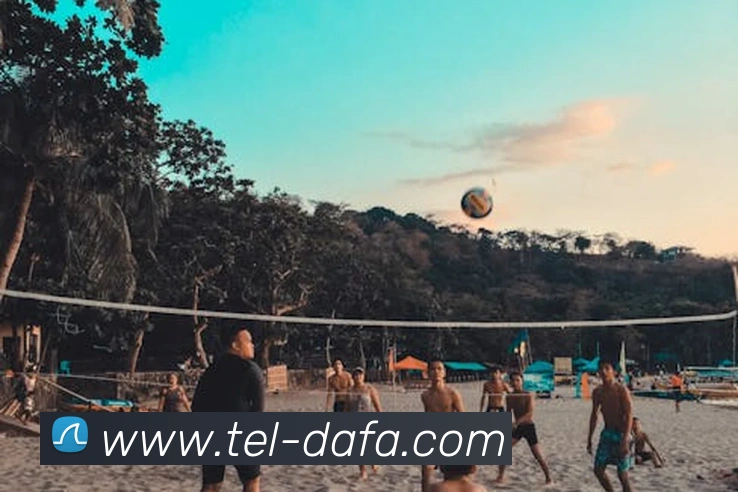 大发彩票平台生态图